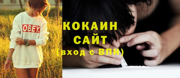 метадон Богданович