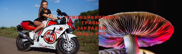 МДМА Богородицк