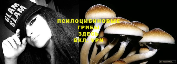 гидра Богородск