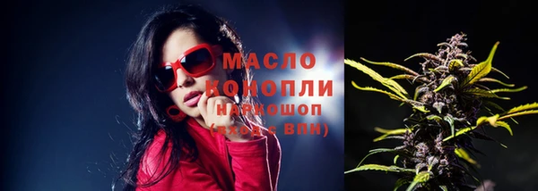 метадон Богданович