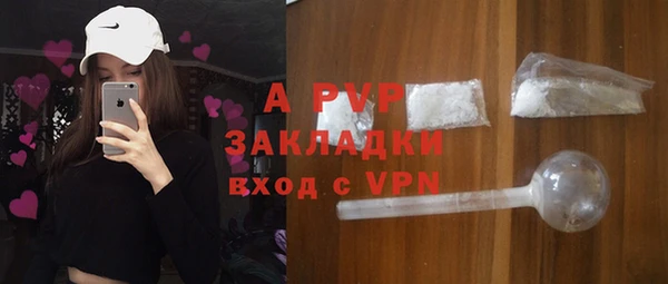 метадон Богданович