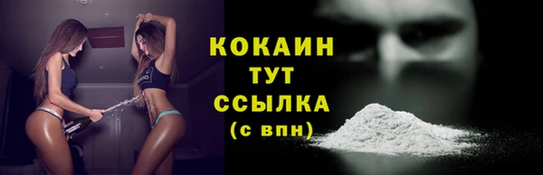 метадон Богданович