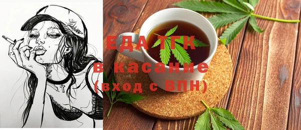 гидра Богородск