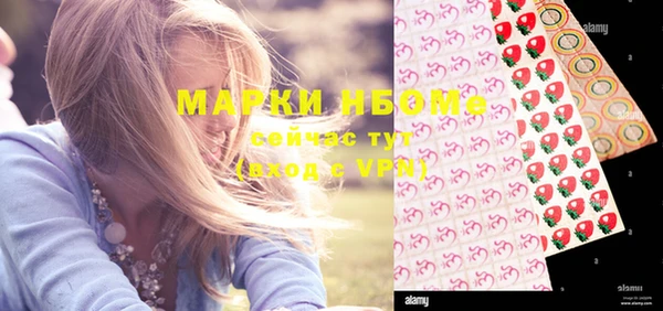 метадон Богданович
