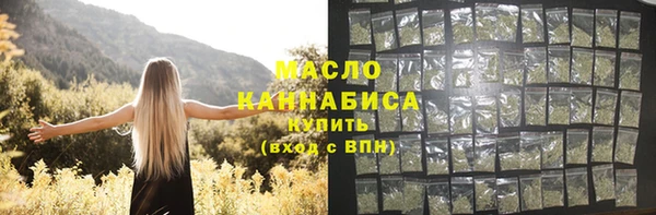 метадон Богданович