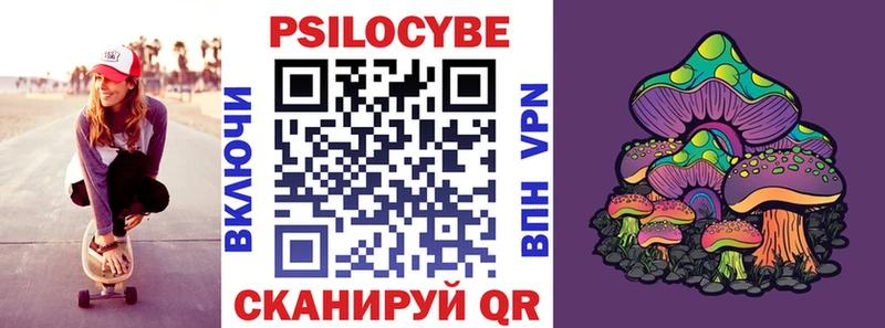 shop клад Мезень Псилоцибиновые грибы мухоморы купить наркоту